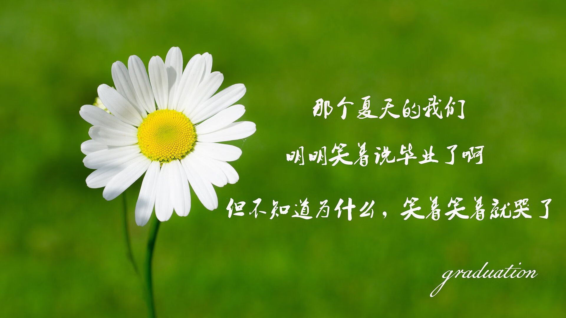 爱游戏娱乐平台-《福布斯》：荷兰女足在预选赛中与法国队激战，荷兰女足比赛结果