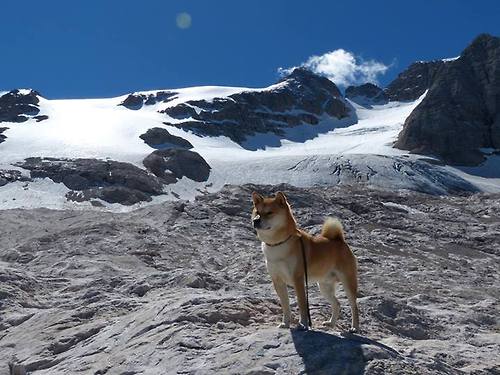 球迷“自发共建”:打造最热烈的篮球应援力量,篮球应援词