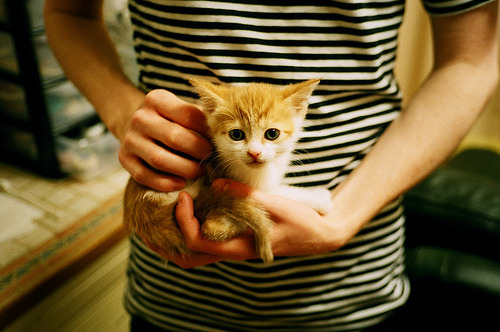 76人阵容调整带来进攻多样性