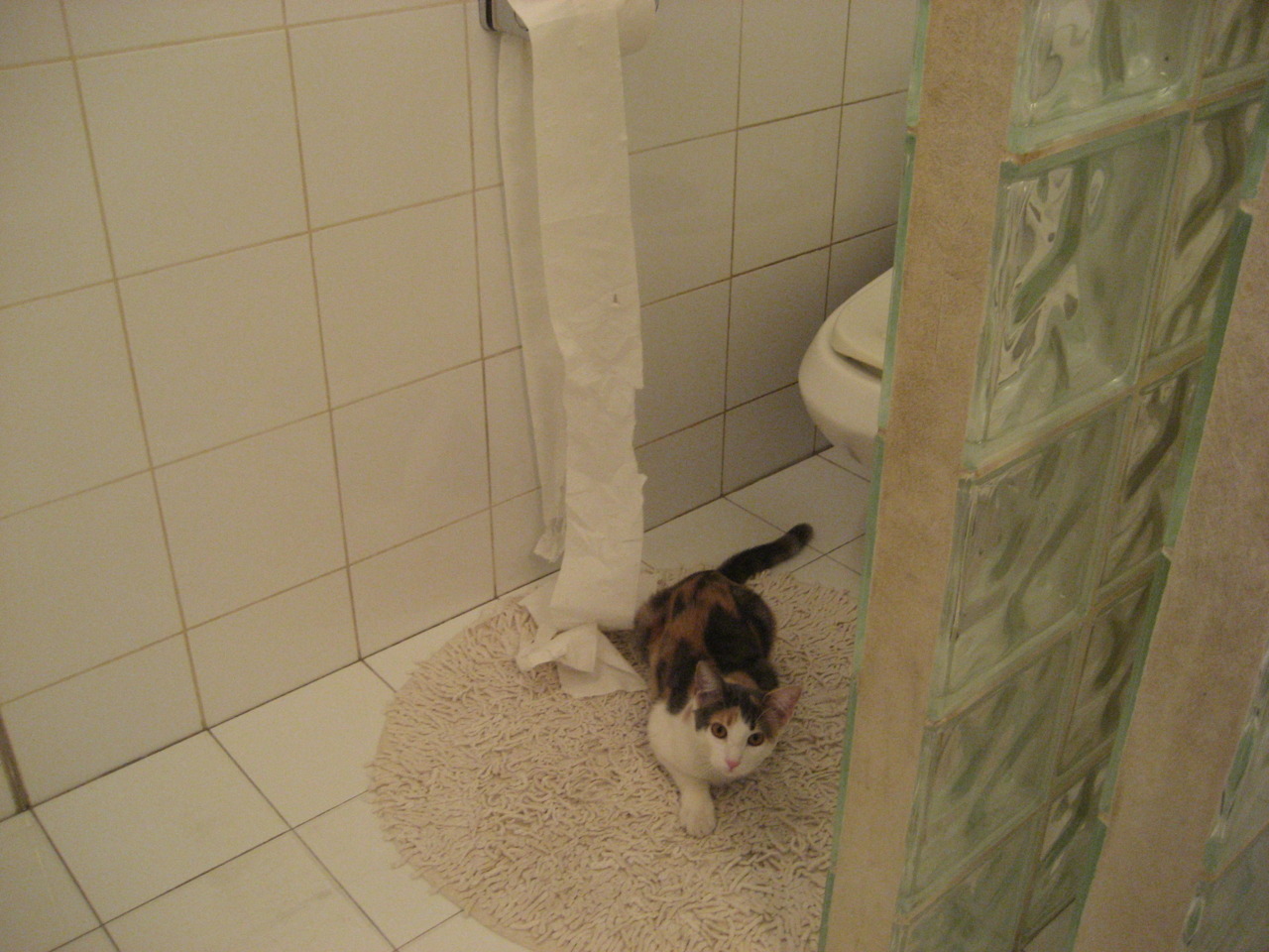 乌迪内斯大败佛罗伦萨，势如破竹，乌迪内斯对佛罗伦萨历史战绩