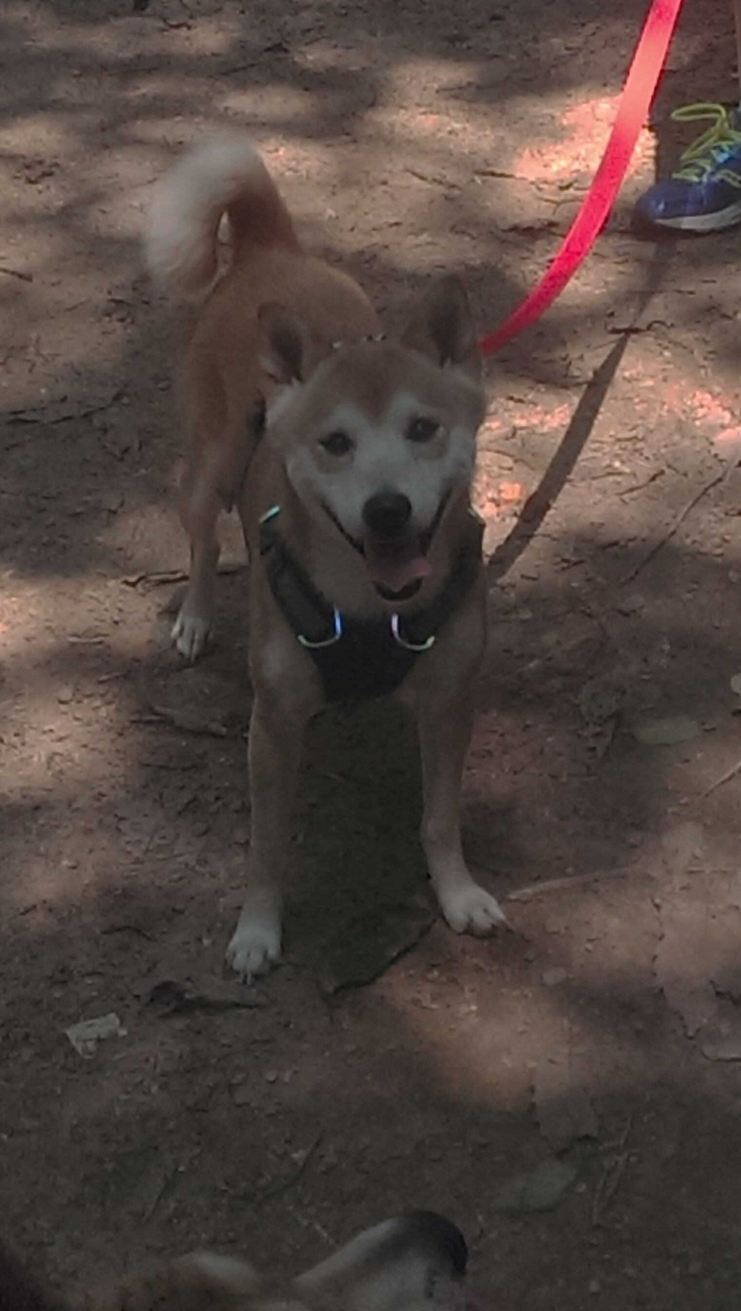 爱游戏体育（AYX）官方APP下载-体育新闻中心承办国家级体育宣传工作会议，国家体育总局宣传司新闻处