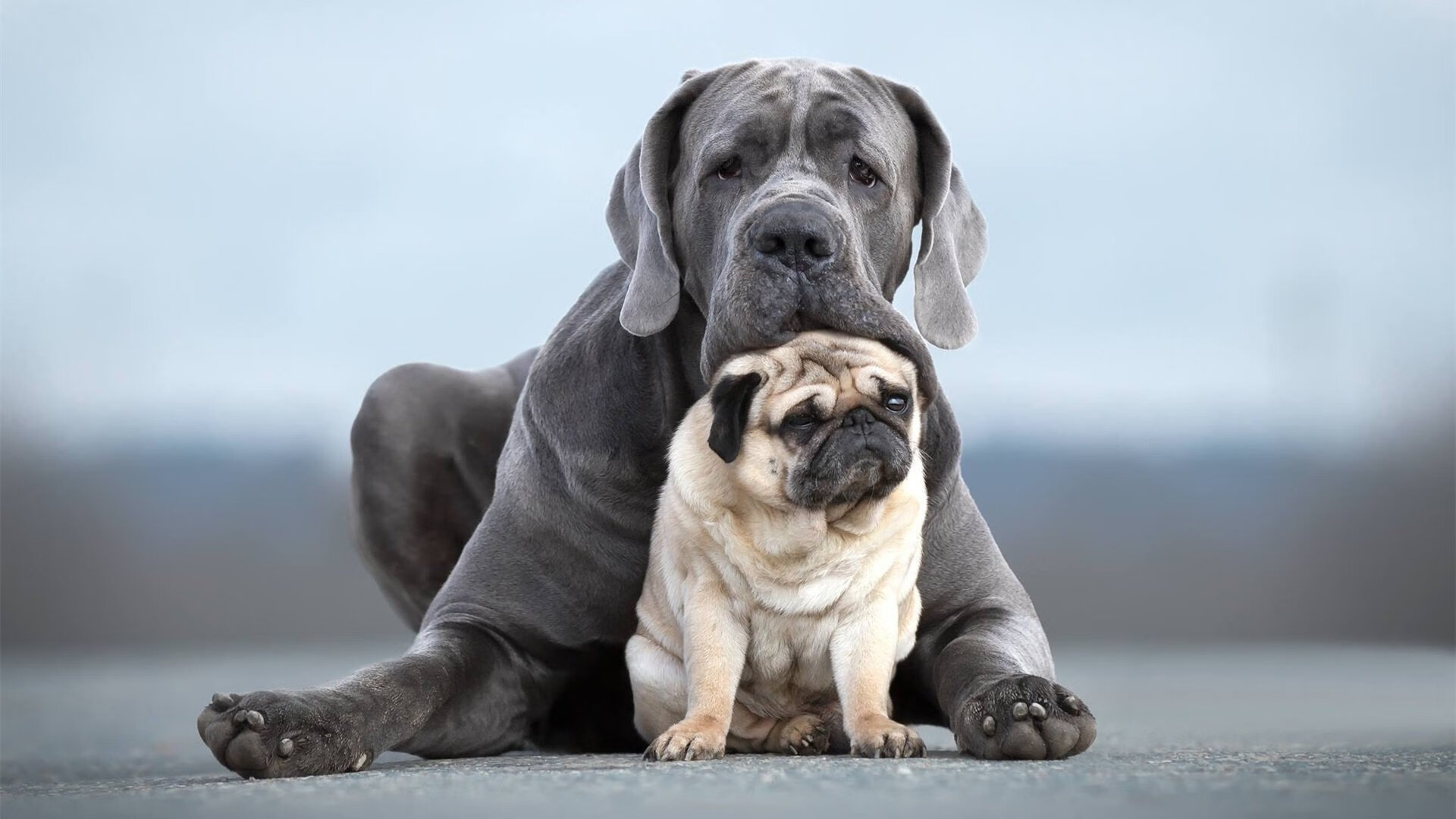 切尔西在英超联赛中排名第六,英超切尔西足球俱乐部