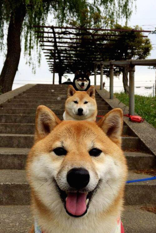 AIYOUXI.COM-冠军蝶泳划水周期全程无明显波动，蝶泳 决赛