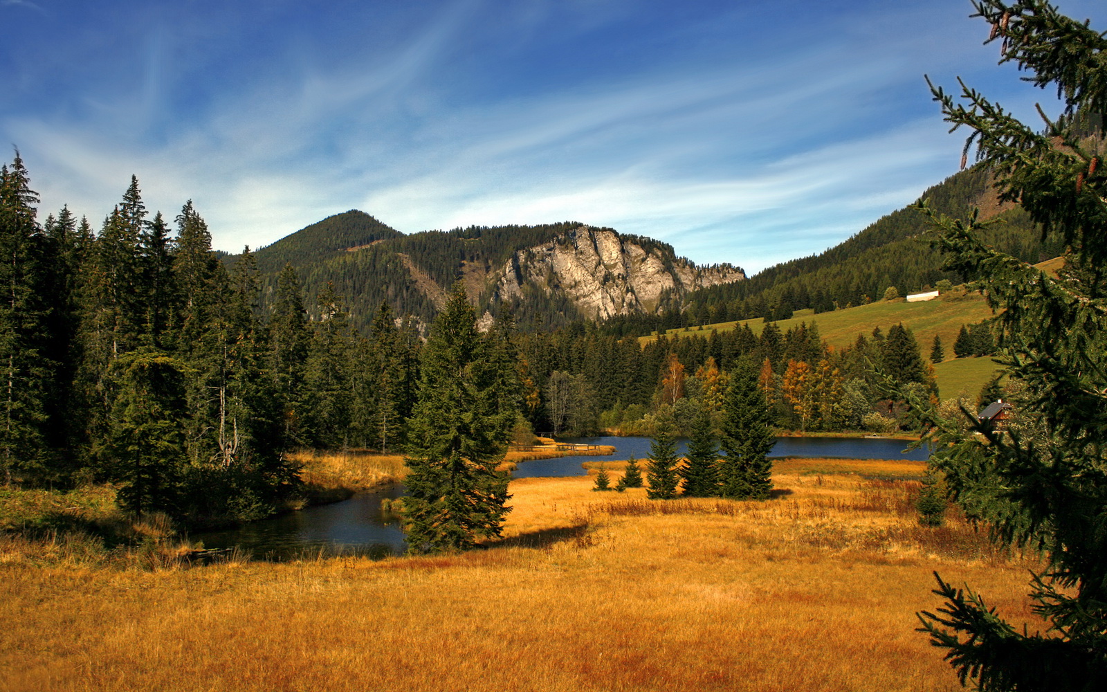 布莱顿整体轮换保持强度不减,布莱顿ds