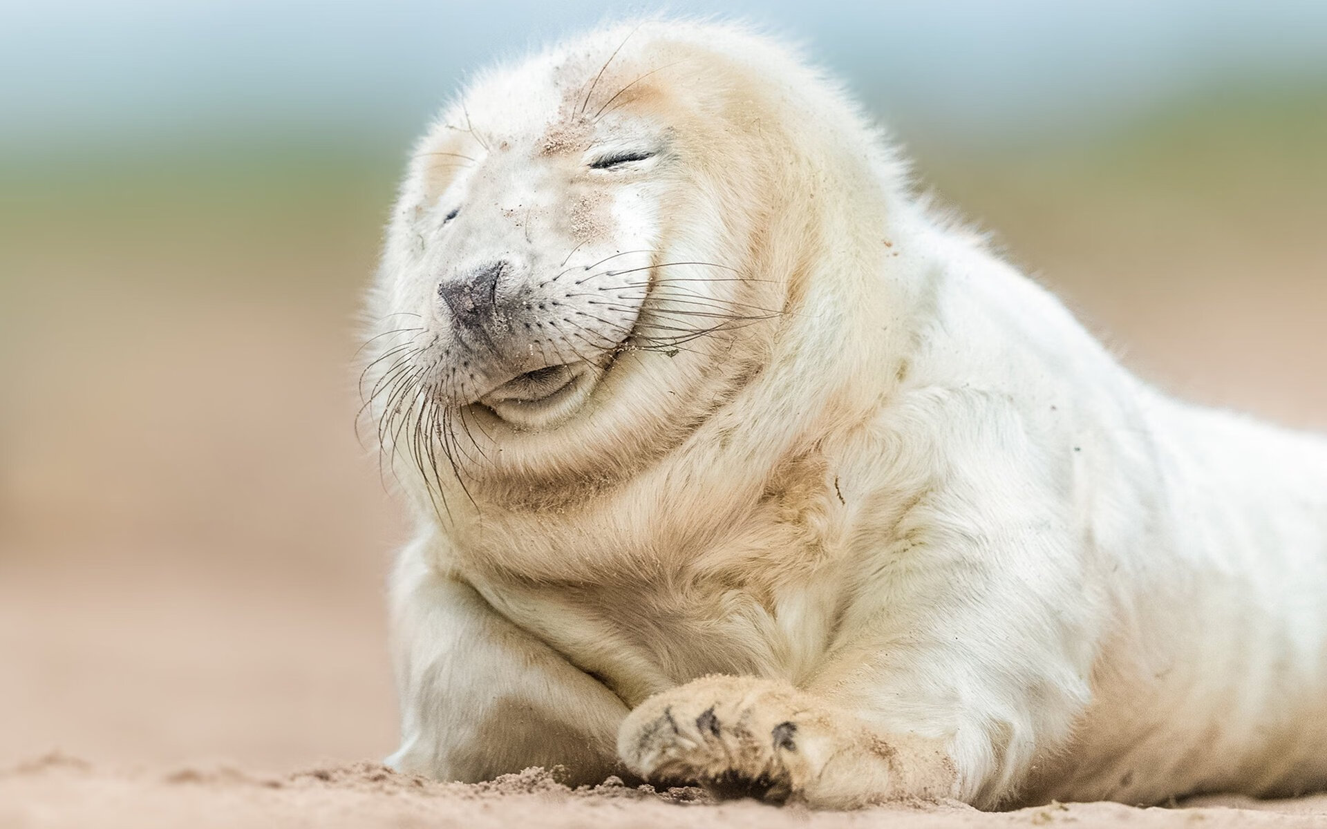 女足世界杯赛程紧凑挑战大,女足世界杯官网