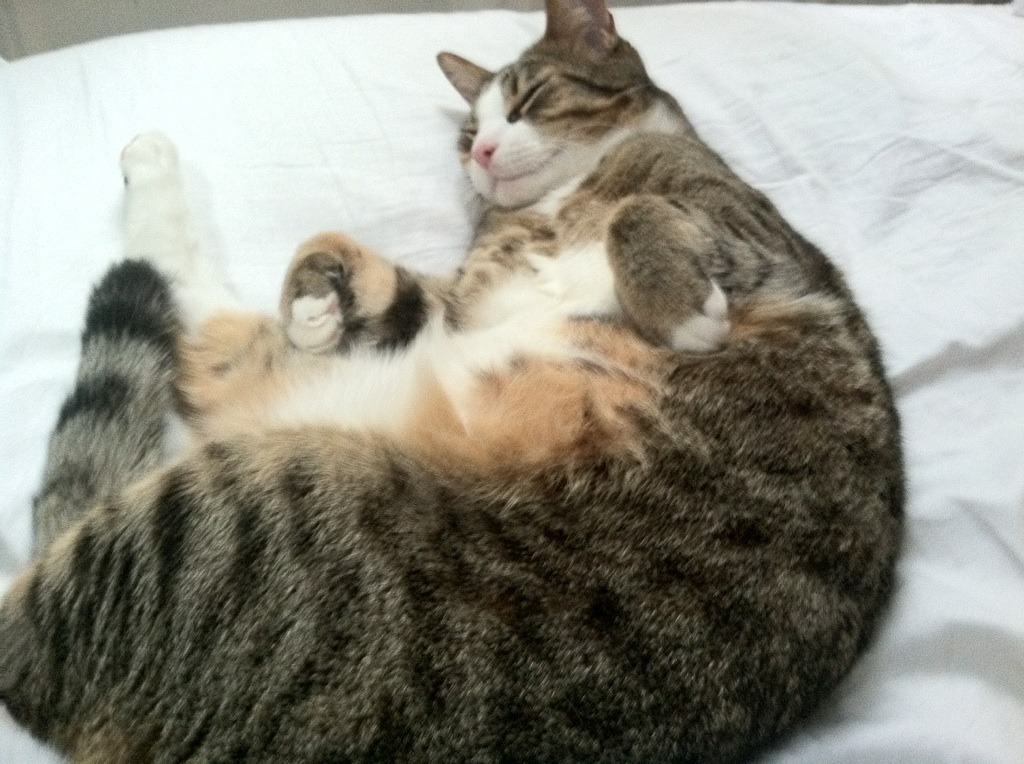 AYX体育官网-单节比分控制精准，比分接近常态，比分单多还是双多