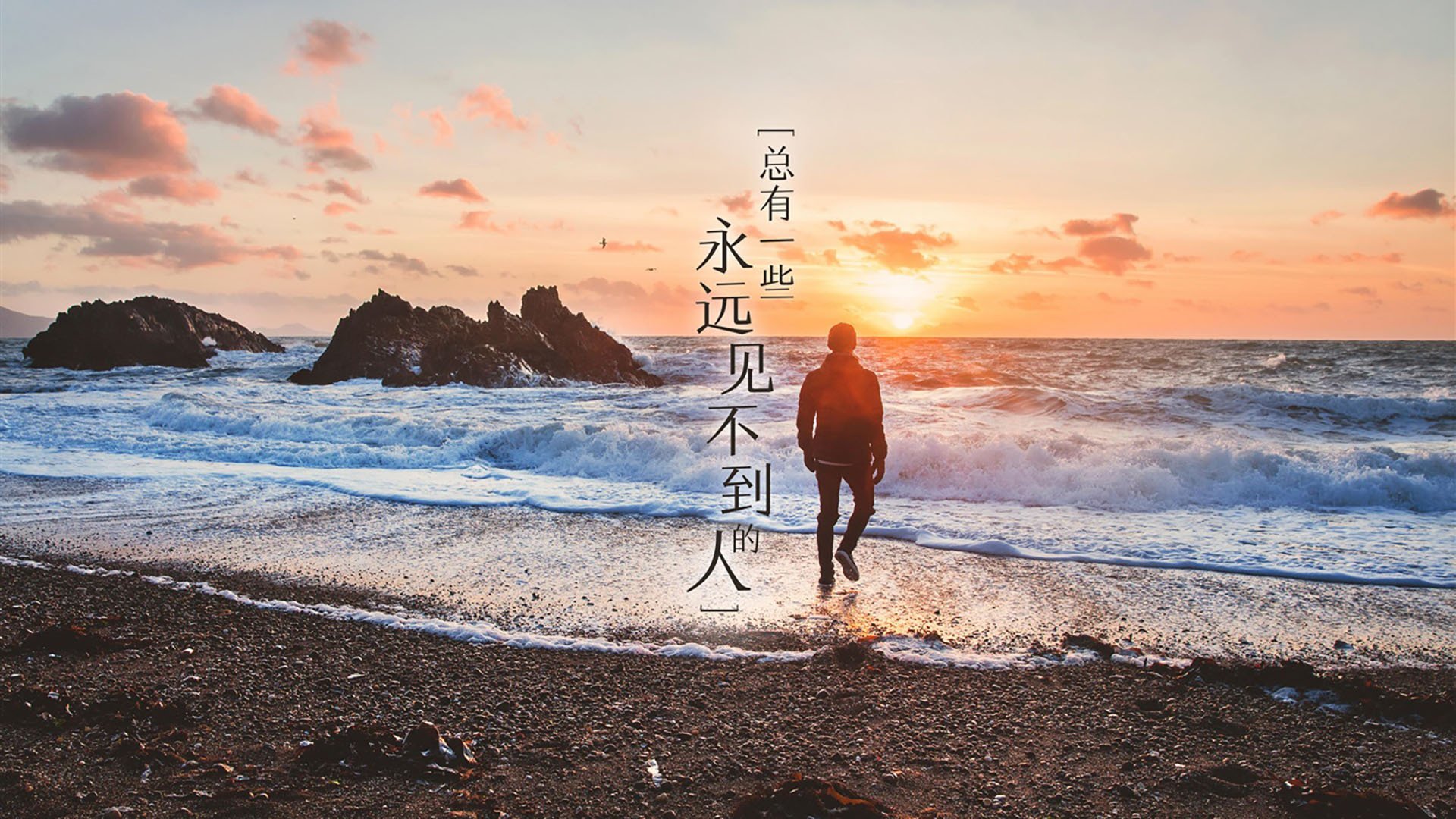 体育社会组织透明度与公信力提升路径，体育社会组织发展历程