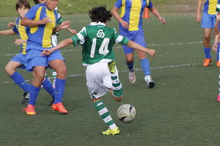 爱游戏体育平台-国家体育场运营中心发布暑期开放时间公告，国家体育场百度百科