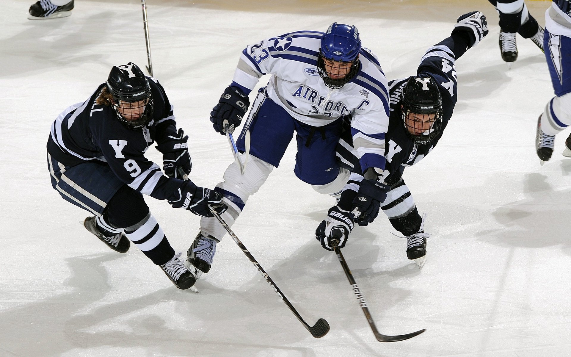 全国高山滑雪公开赛新王加冕,高山滑雪第四届