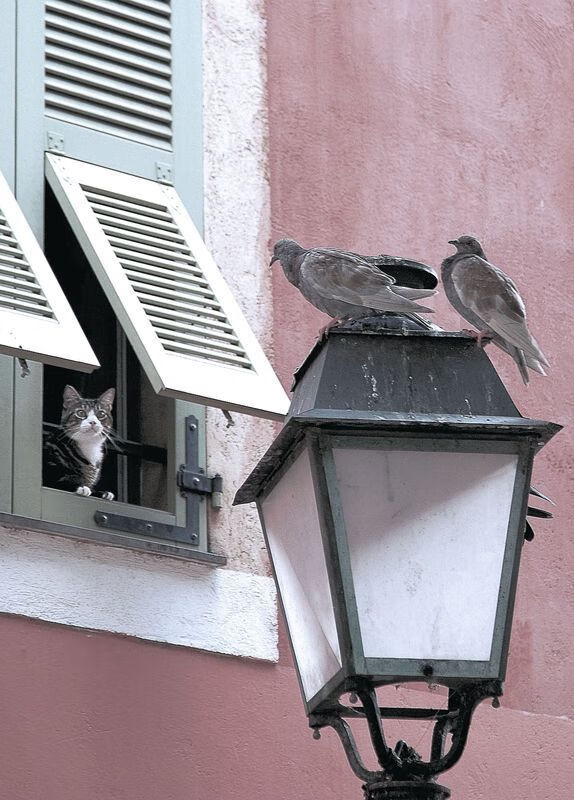 爱游戏体育平台-新闻中心开展环保节能项目，我市开展节能环保行动