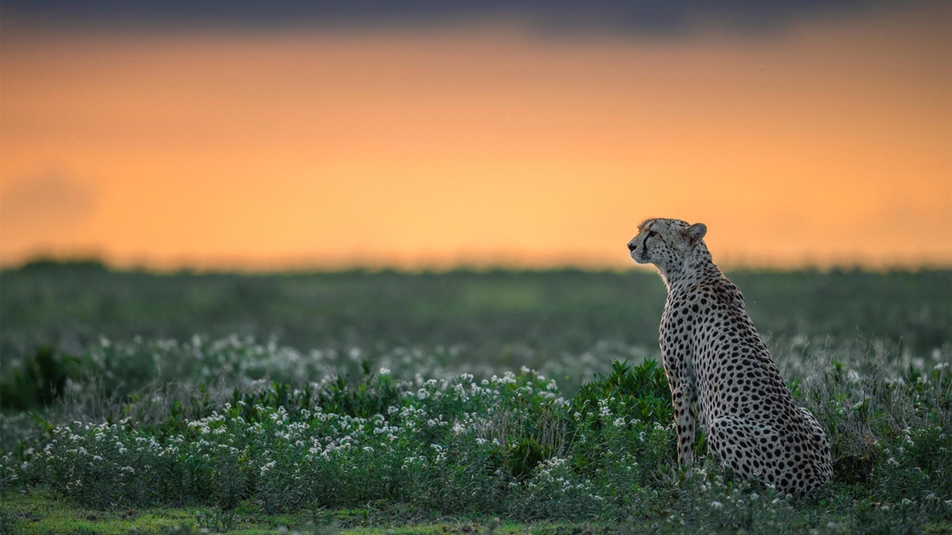 AYX体育-高校体育设施利用率监测与资源配置分析，高校体育设施对外开放