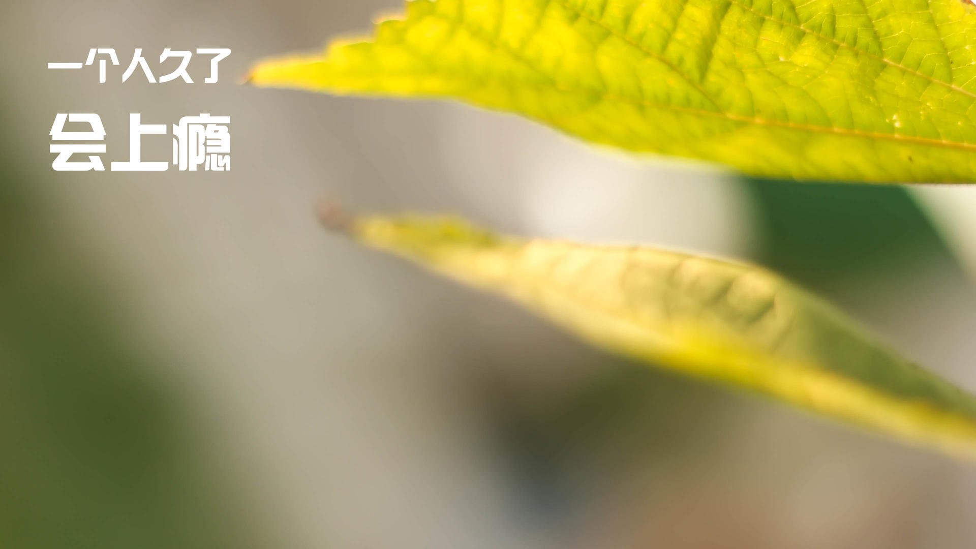 西甲疯狂反击:速度和技巧的极致表现,西甲模式