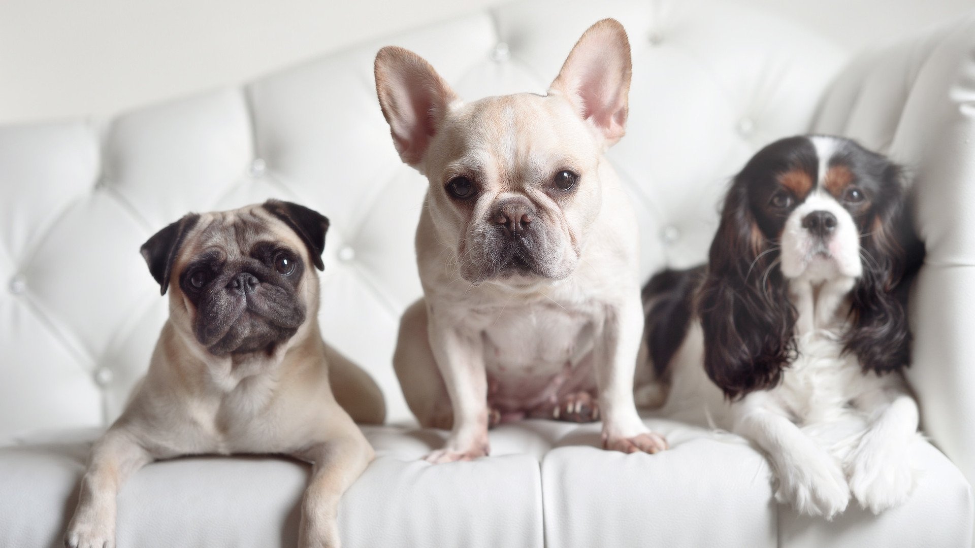 爱游戏中国官方登录入口网站-中国男篮注重控球稳定性，中国男篮面临一个可怕的对手