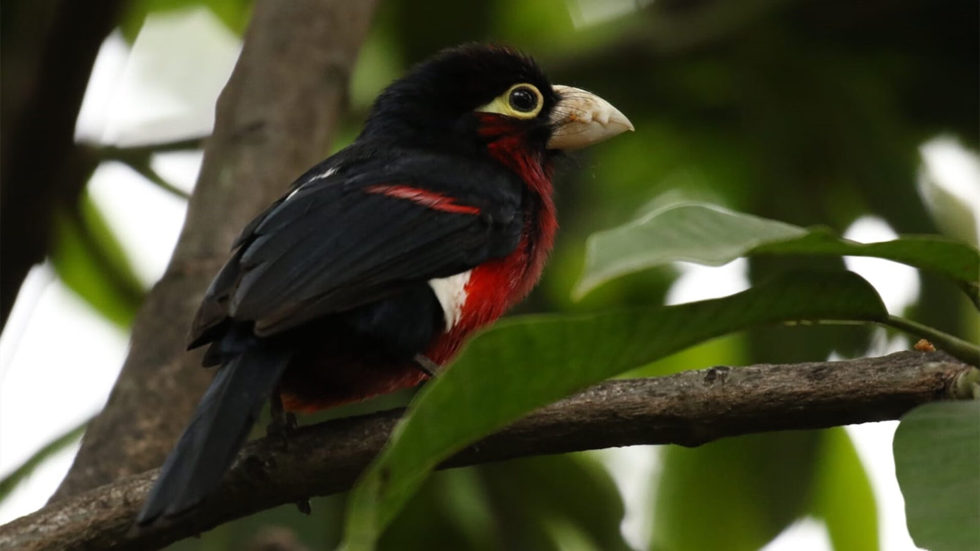 爱游戏娱乐-主帅换人反超时机把握对士气与局势的即时作用，主帅更迭、失去最佳拍档