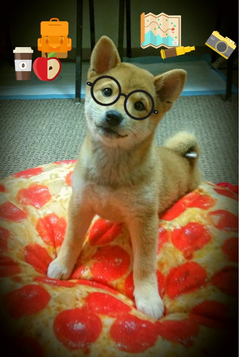 体育新闻中心上线体育创作者内容质量审核平台,体育新闻的网站