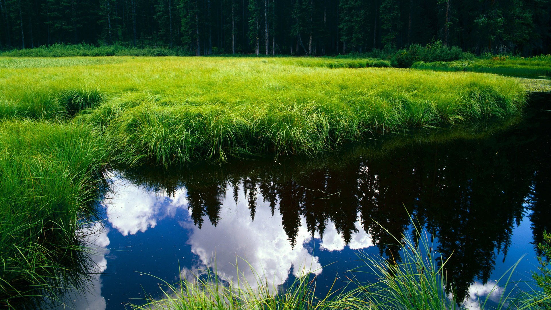 全运会筹备工作紧锣密鼓推进，备战全运会工作方案