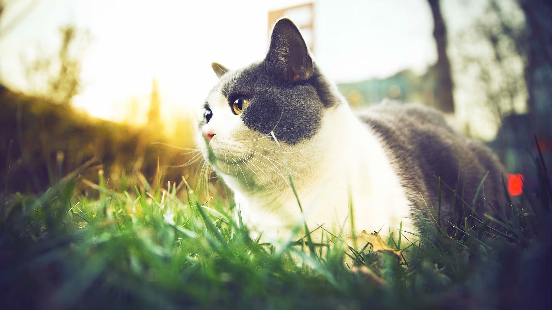 国家队比赛节奏控制能力为何落后,国家队比赛节奏控制能力为何落后呢